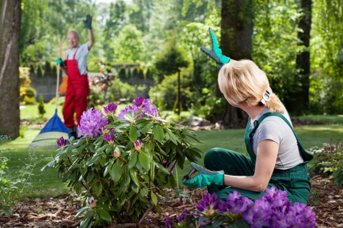 Green waste being separated at a worksite