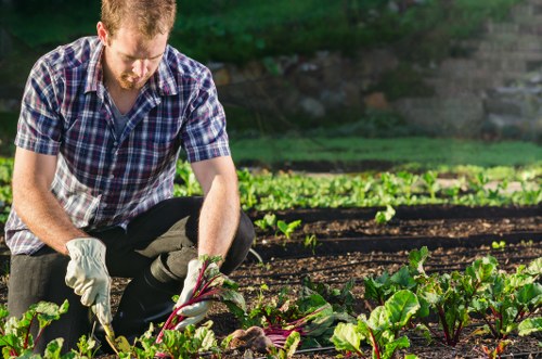 Gardener preparing to trim a hedge with protective gear in a suburban garden