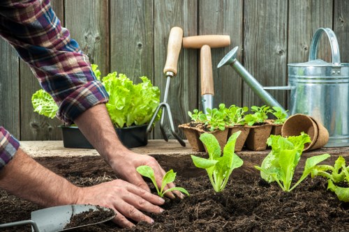 Expert landscapers maintaining a beautiful garden