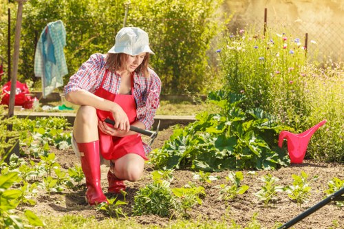 A woman dressed in a sun hat, red apron, and red rubber boots is kneeling in a garden, tending to small leafy plants and young vegetable seedlings in a well-maintained outdoor space. The garden features neat rows of various green plants, with a cultivated soil bed and a textured paved path nearby. In the background, there are taller plants and wildflowers growing along a wooden fence, with sunlight filtering through the foliage, suggesting a warm, pleasant day. A pink watering can is positioned on the ground nearby, and a garden cloth is hanging on a line behind her. This scene demonstrates outdoor gardening and planting, aligning with services such as lawn care, hedge trimming, and garden maintenance typical of a professional gardening company like Hedge Trimming Forest Hill, serving areas around Forest Hill in London.